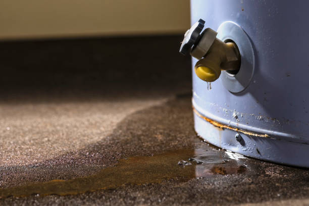 Water damage restoration insurance claims in Cayuga Heights, NY